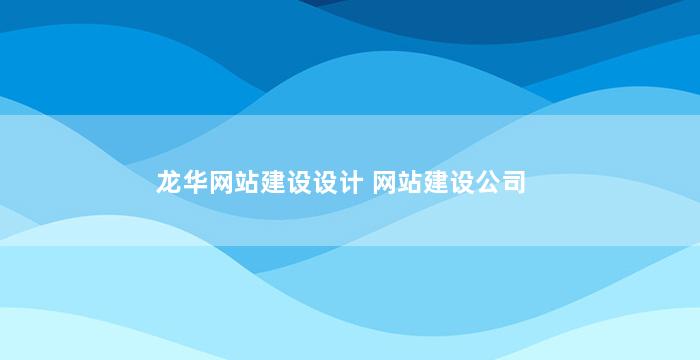 龙华网站建设设计 网站建设公司